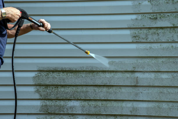 Best Fence Cleaning  in Bardstown, KY