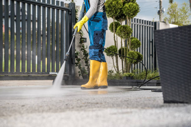 Best Sidewalk and Walkway Cleaning  in Bardstown, KY
